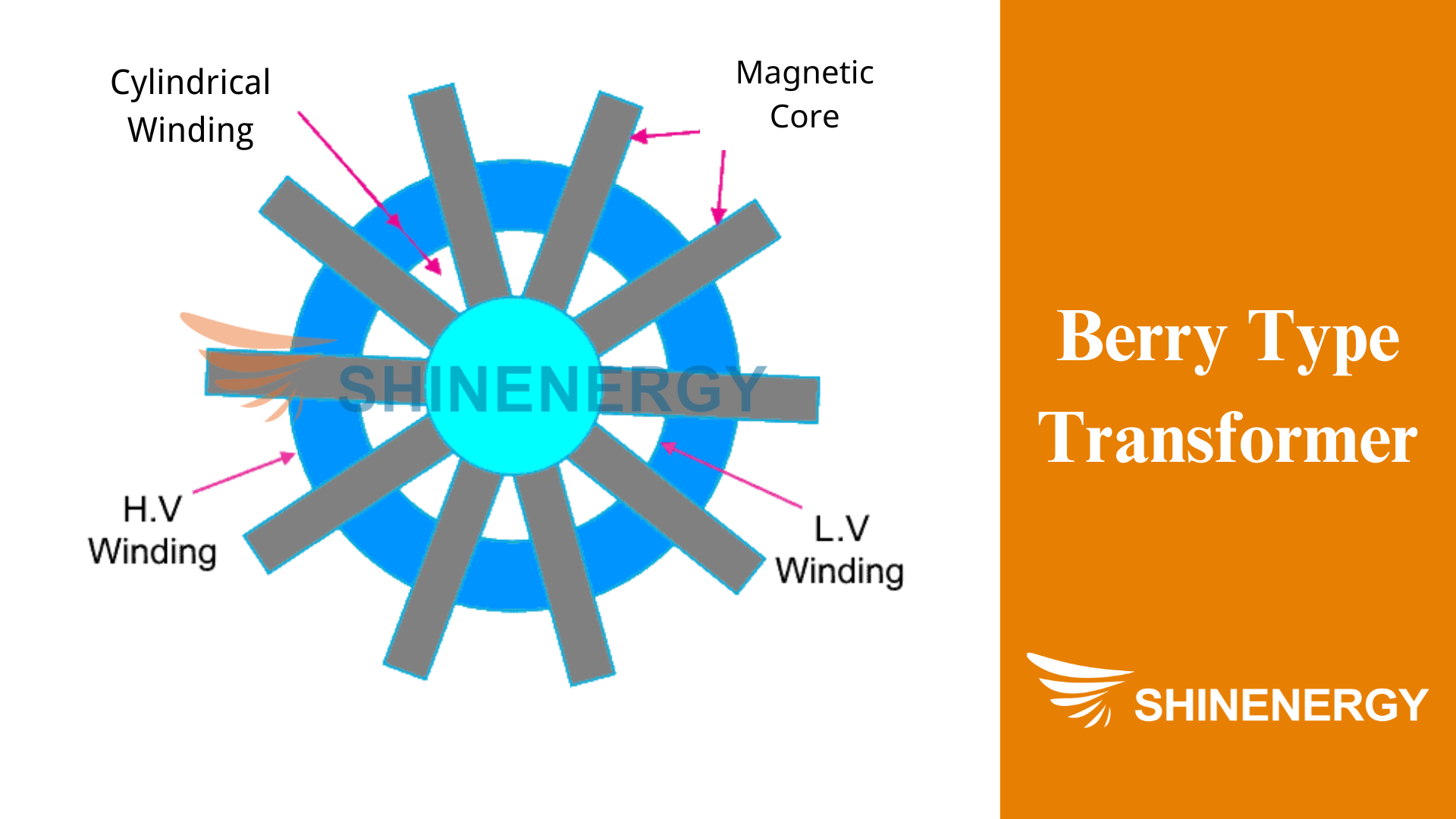 Berry Type Transformer